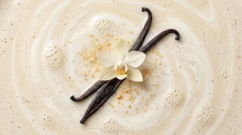 Vanilla