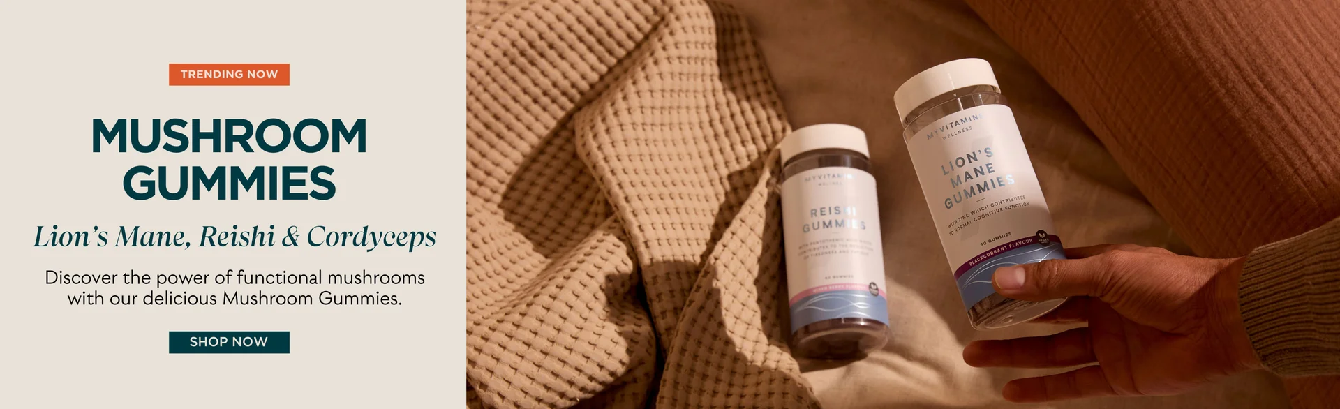 Shop Mushroom Gummies